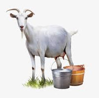 All Natural Goats Milk Soap